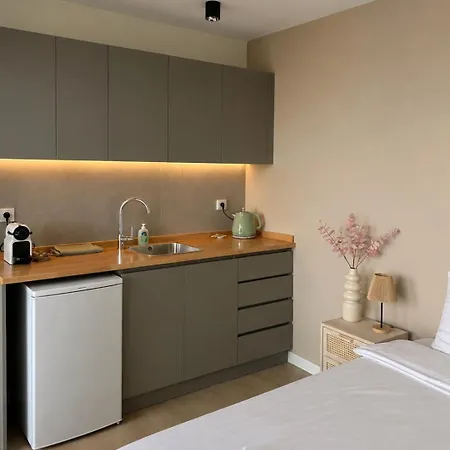Luxury 公寓式酒店 Alphen (Gelderland)